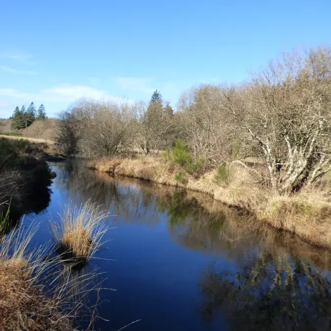 Aire de pique-nique de la vallée de l'Arn_La Salvetat-sur-Agout
