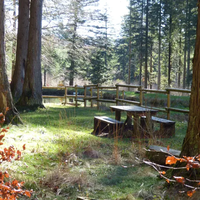 Aire de pique-nique de Poutras_Lacaune