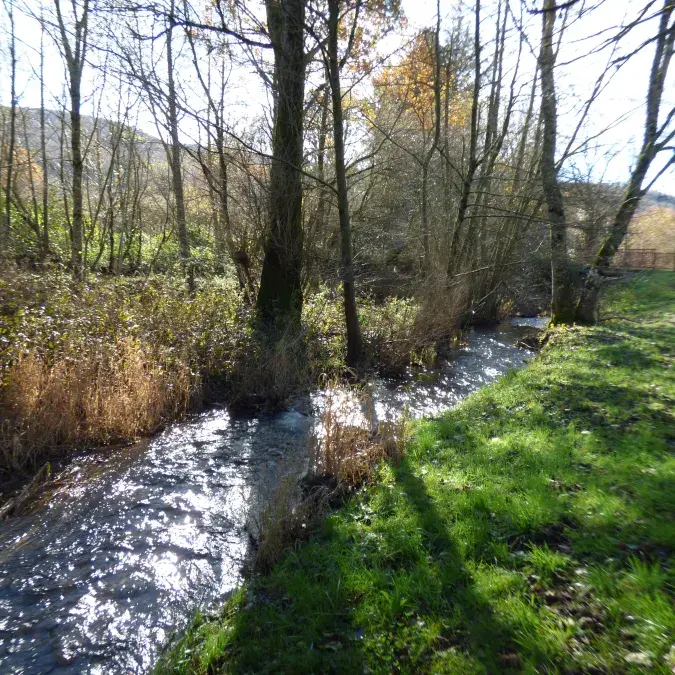Aire de pique-nique de l'église Saint-Etienne_Murat-sur-Vèbre