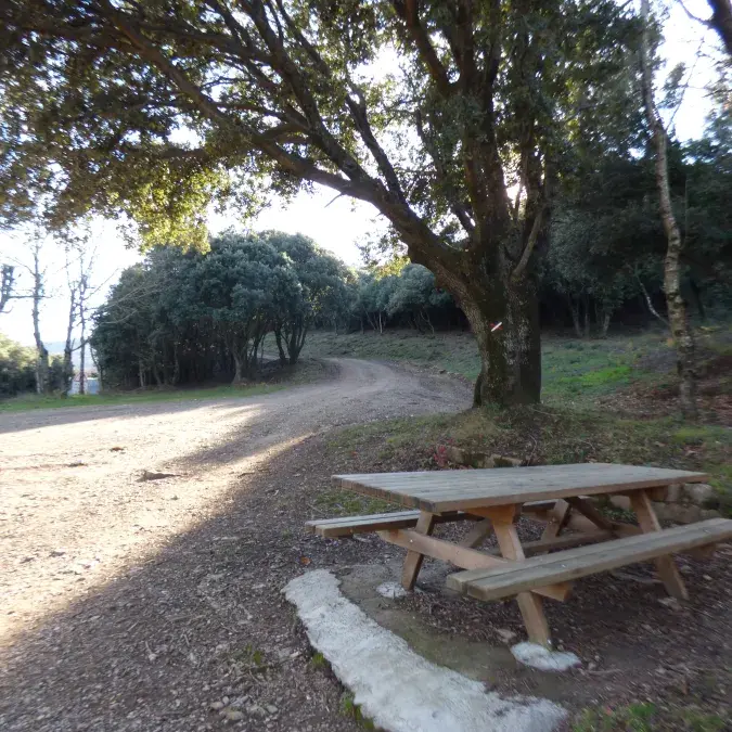 Aire de pique-nique du col de Madale_Rosis
