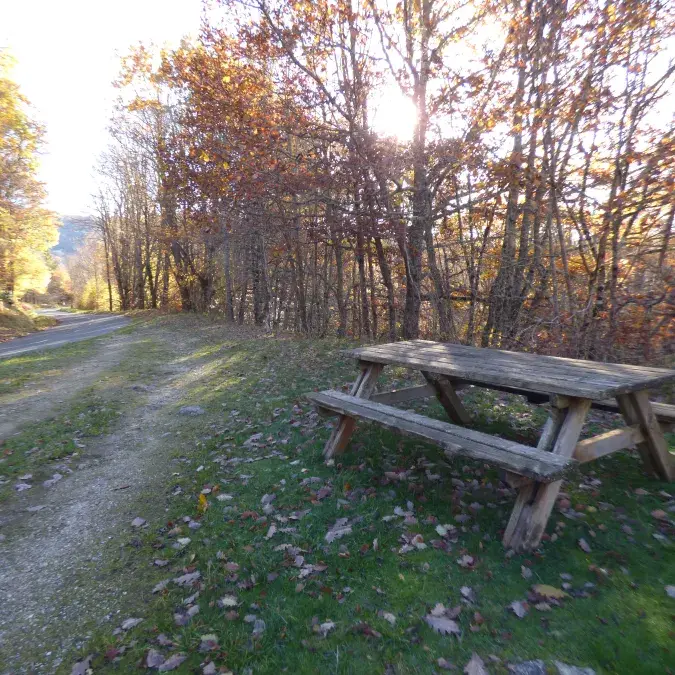 Aire de pique-nique du lac du Laouzas (n°2)_Nages