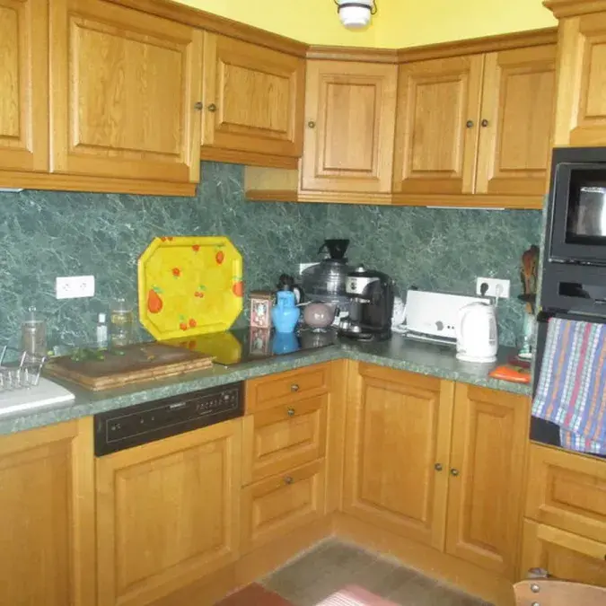 Robert Petit - Viane