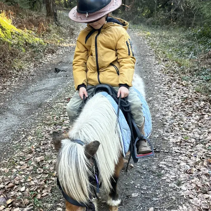 Chasse au trésor poney 