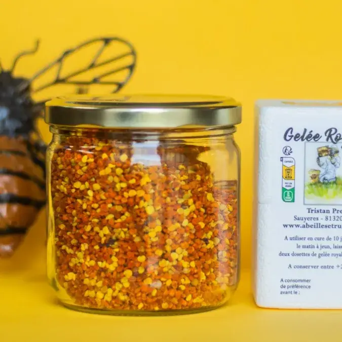 Abeilles et Ruches_Nages