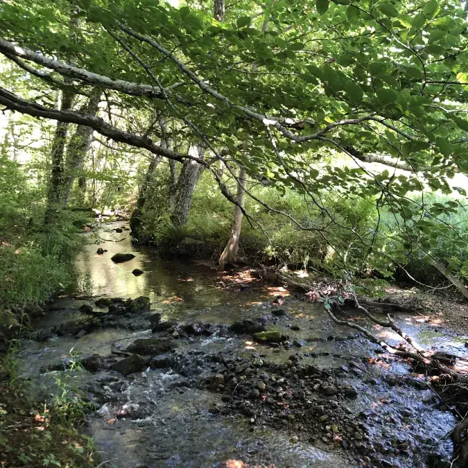 La balade Monteliote_Lamontélarié