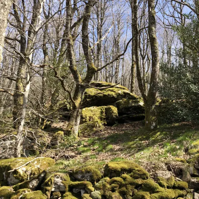 Le Sommet de Rouayras_Nages