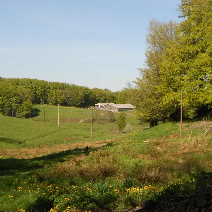 Alain Senegas_Anglès