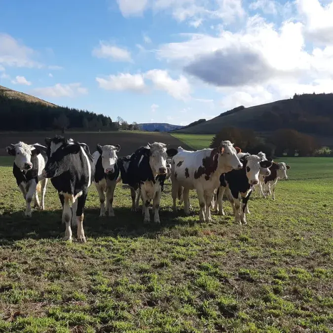 Ferme du Basset_Castanet-le-Haut
