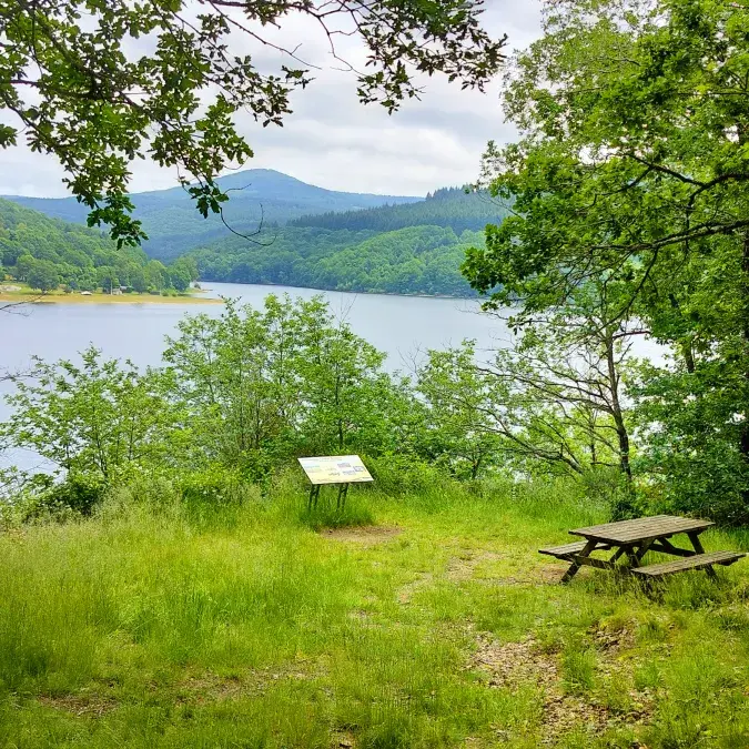 Aire de pique-nique de la Presqu'île_Nages