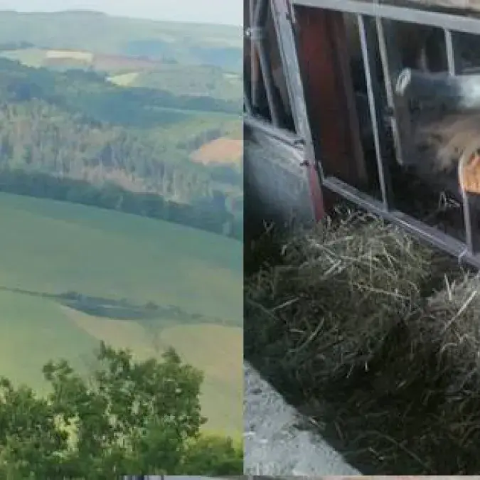 La ferme du Guial_Viane