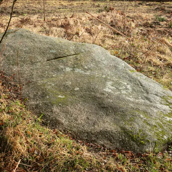 Statue-menhir du col de la Frajure_Nages