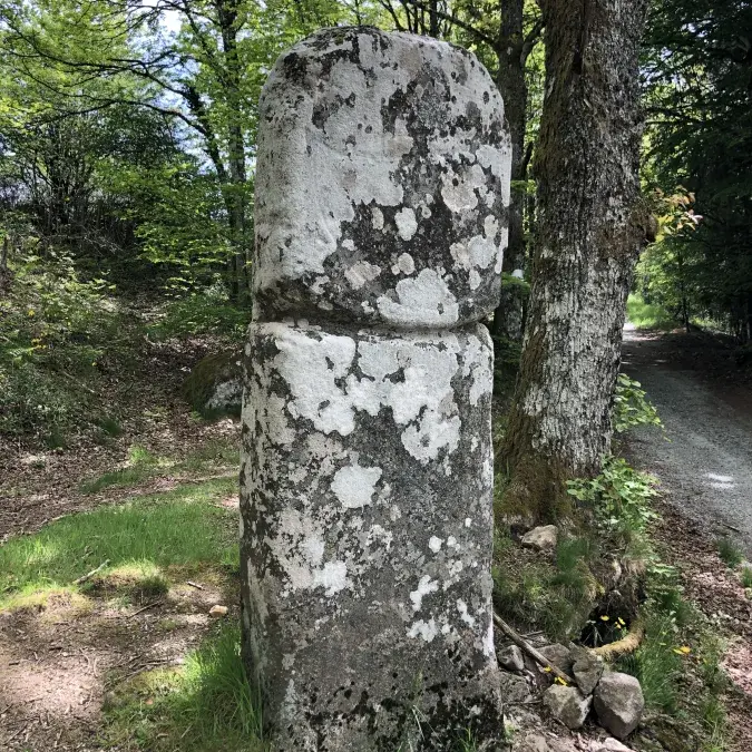 Statue-menhir de Picarel_Fraisse-sur-Agout