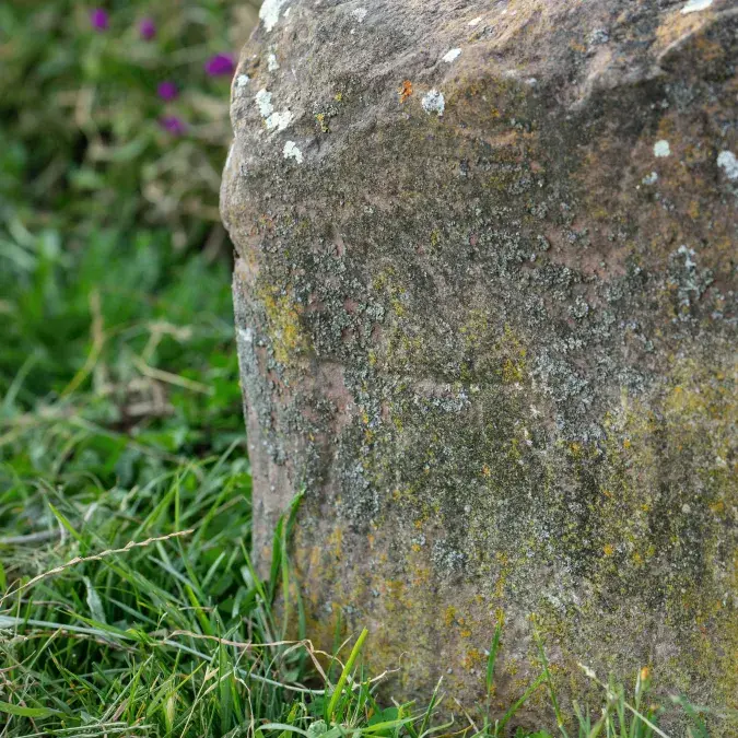 Détail de la partie supérieure de la statue-menhir