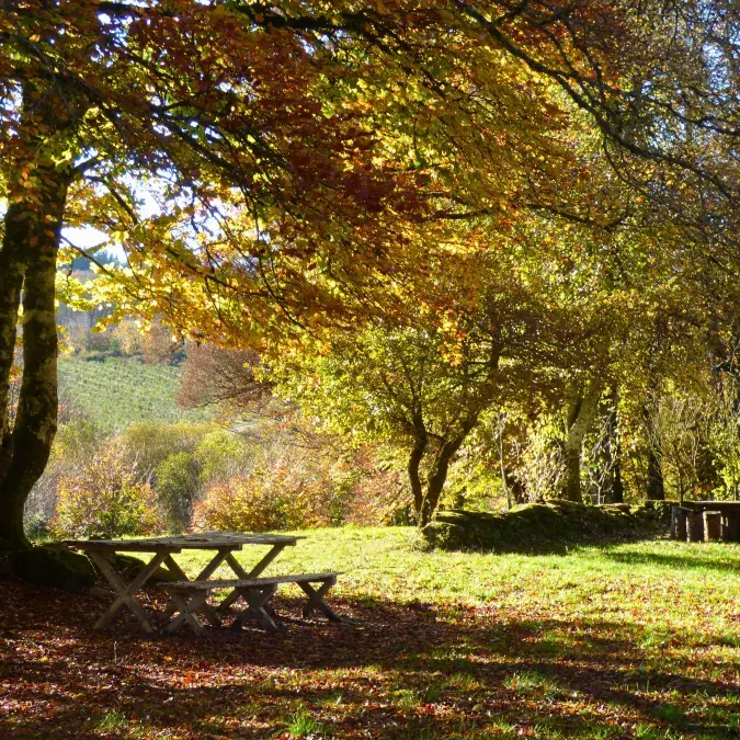 Aire de pique-nique de Campblanc_Fraisse-sur-Agout