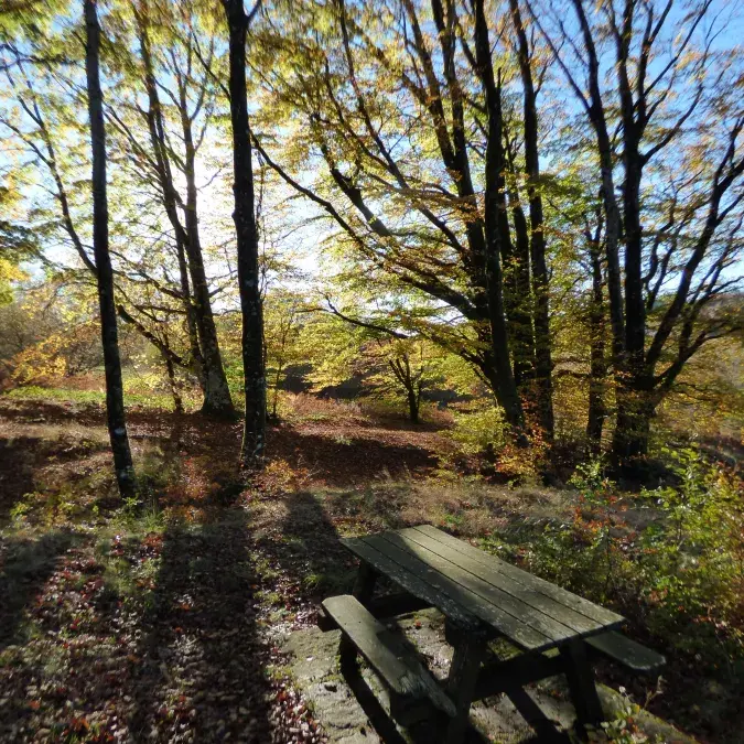 Aire de pique-nique entre Farrals et Campblanc (Lac de Vesoles)_Fraisse-sur-Agout