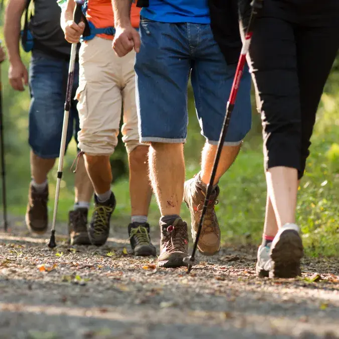 Randonnée pédestre