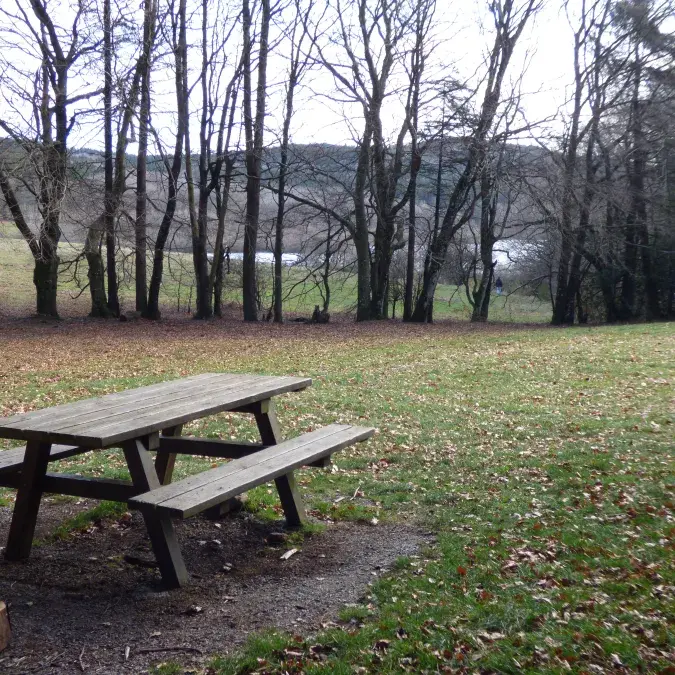 Aire de pique-nique de la Gineste_Fraisse-sur-Agout