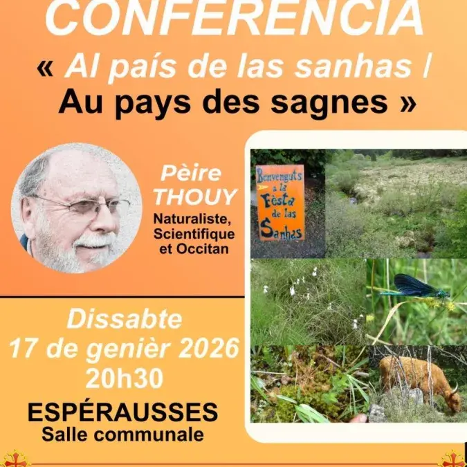 Affiche conférence sagnes