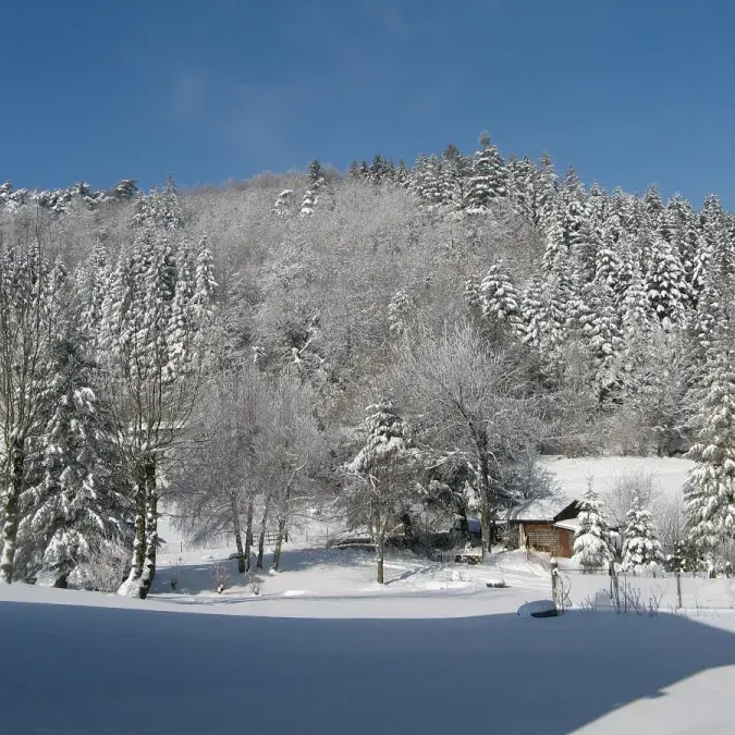 Paysage hivernal
