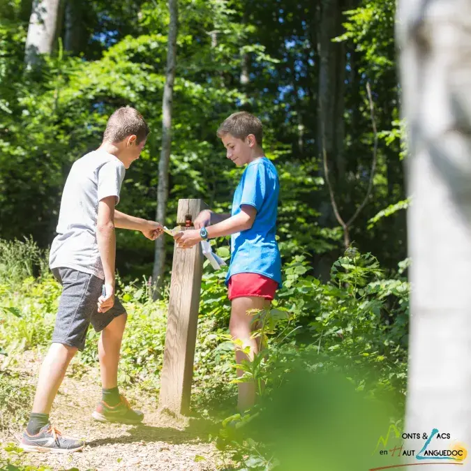 Parcours d'orientation