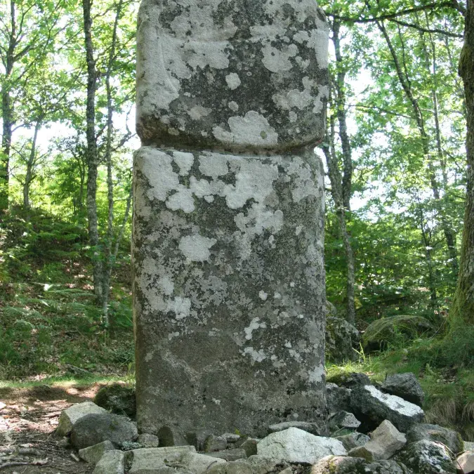 Menhir de picarel