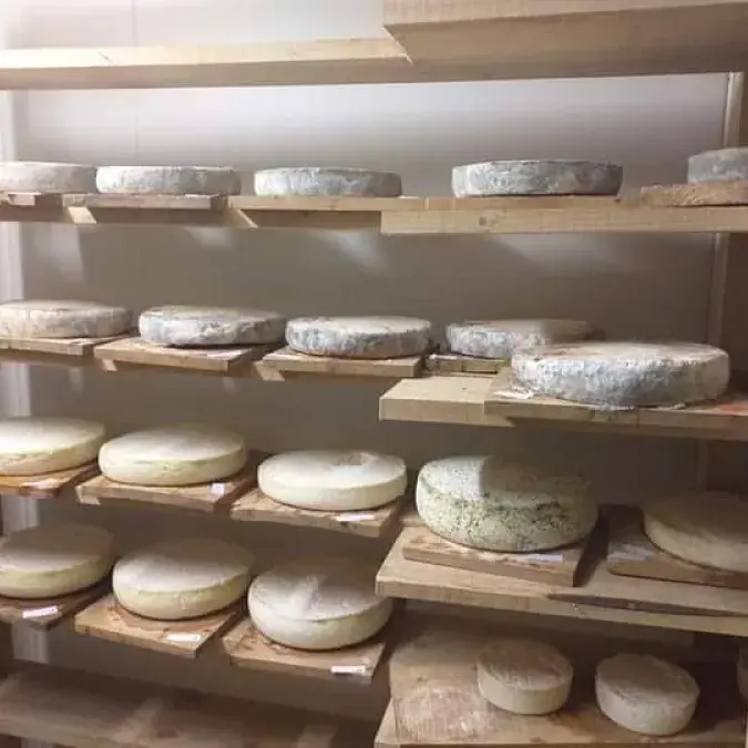 GAEC du Champs de la Fontaine