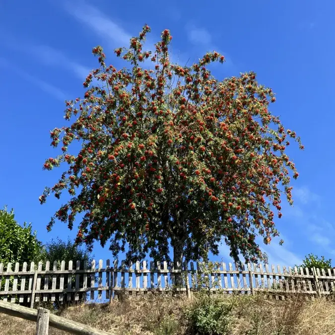 PRL des Rives du Lac du Laouzas