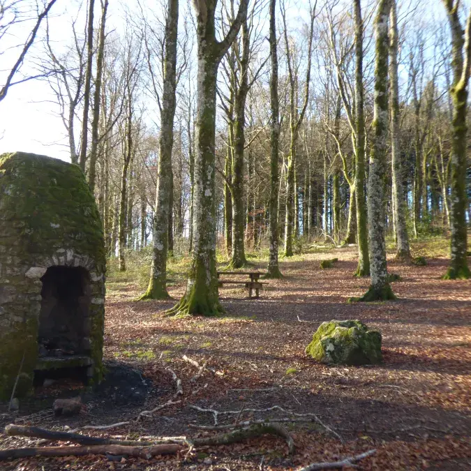 Aire de pique-nique de la Piguière - Anglès