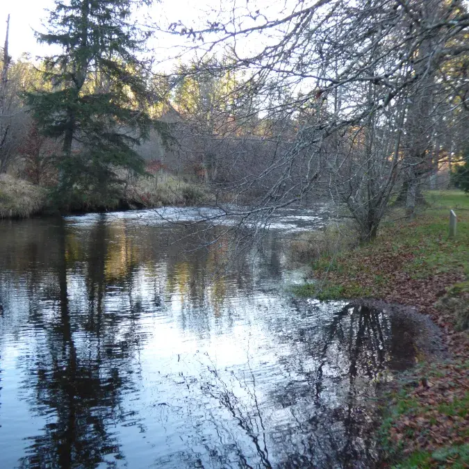 Aire de pique-nique de Saint-Pierre de l'Espinouse_Cambon-et-Salvergues