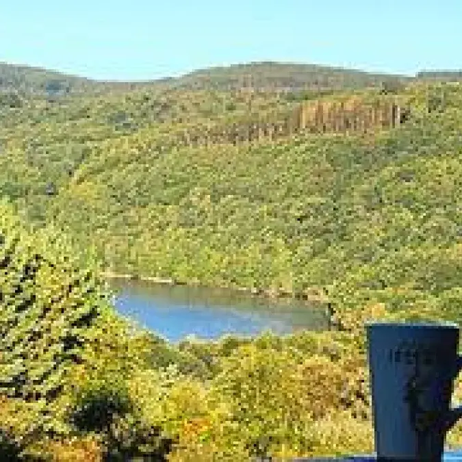 Patricia Podevin - 305