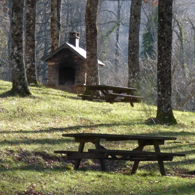 Aire de pique-nique de la base de loisirs_La Salvetat-sur-Agout