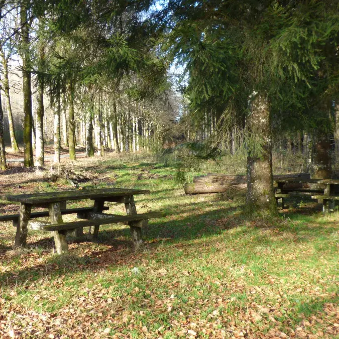 Aire de pique-nique de Vergougnac_Le Soulié