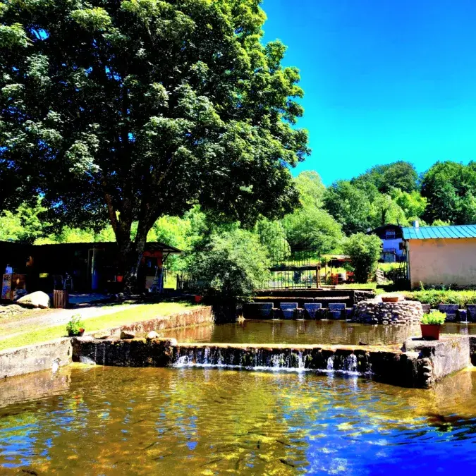 Pisciculture Les Uguettes_La Salvetat-sur-Agout