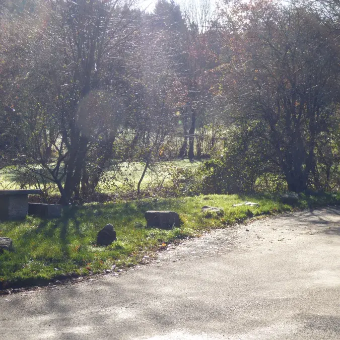 Aire de pique-nique (route de Murat)_Murat-sur-Vèbre