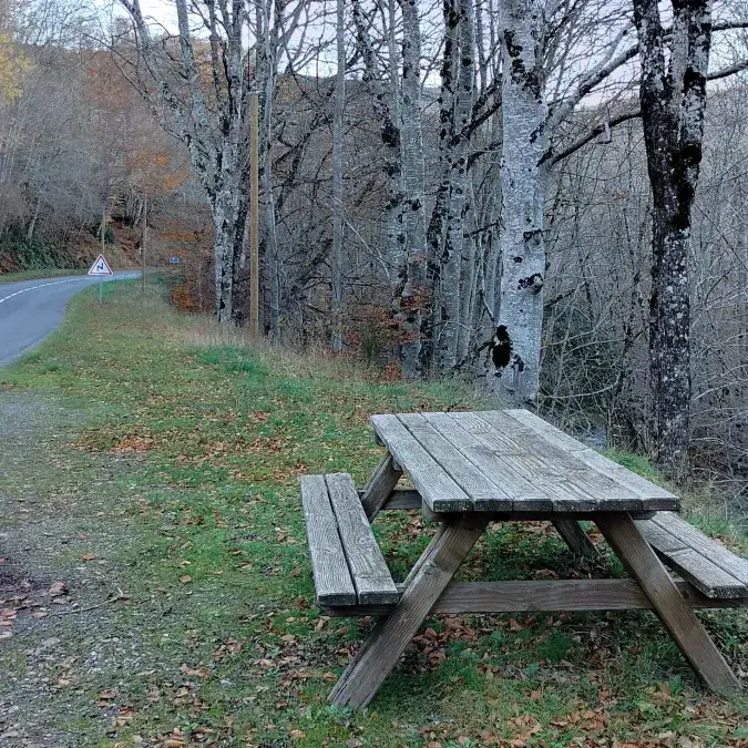 Aire de pique-nique (route du lac)_Nages