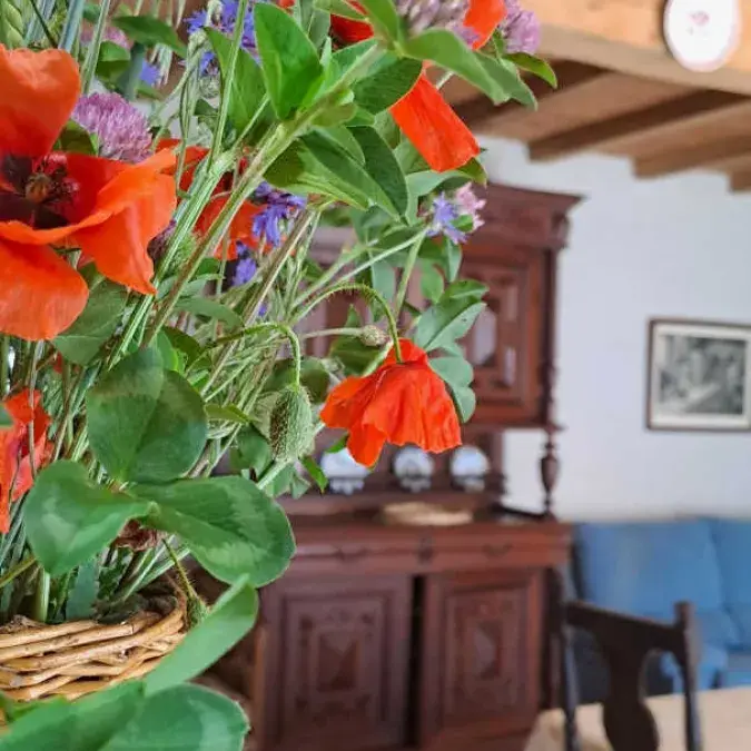 Cambert - Murat-sur-Vèbre, Tarn - G832 Gîtes de France