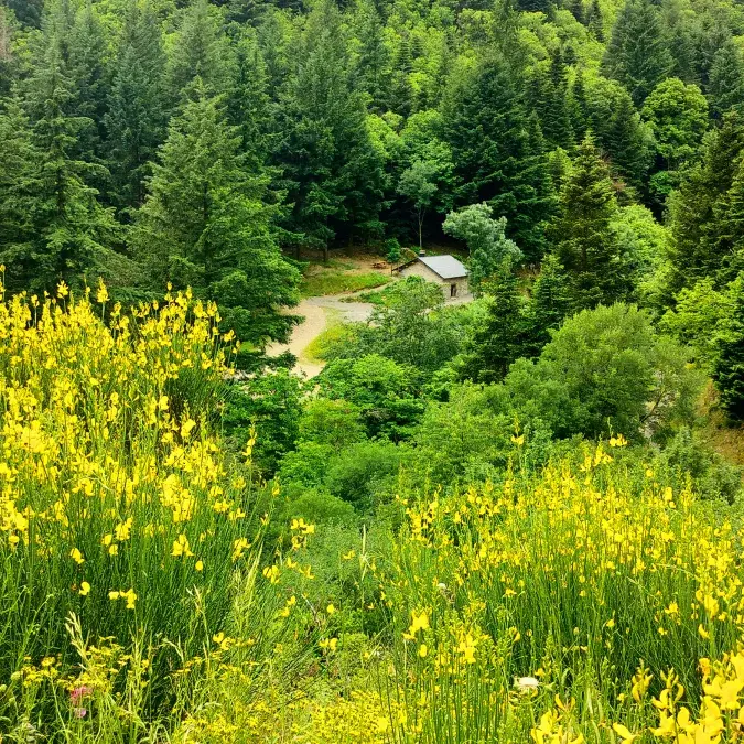 Aire de pique-nique "La bergerie de Suzette"_Castanet-le-Haut