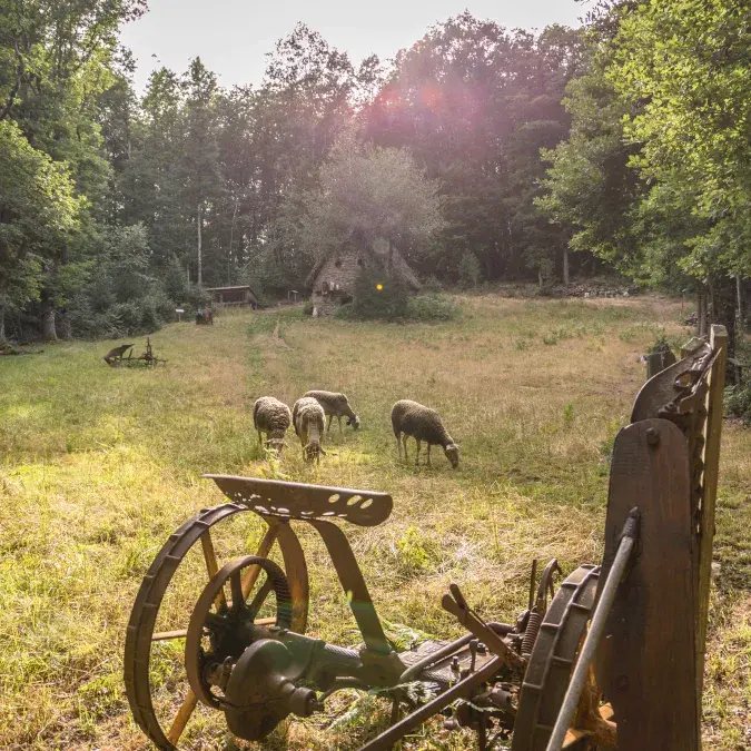 Maison de Payrac_Nages