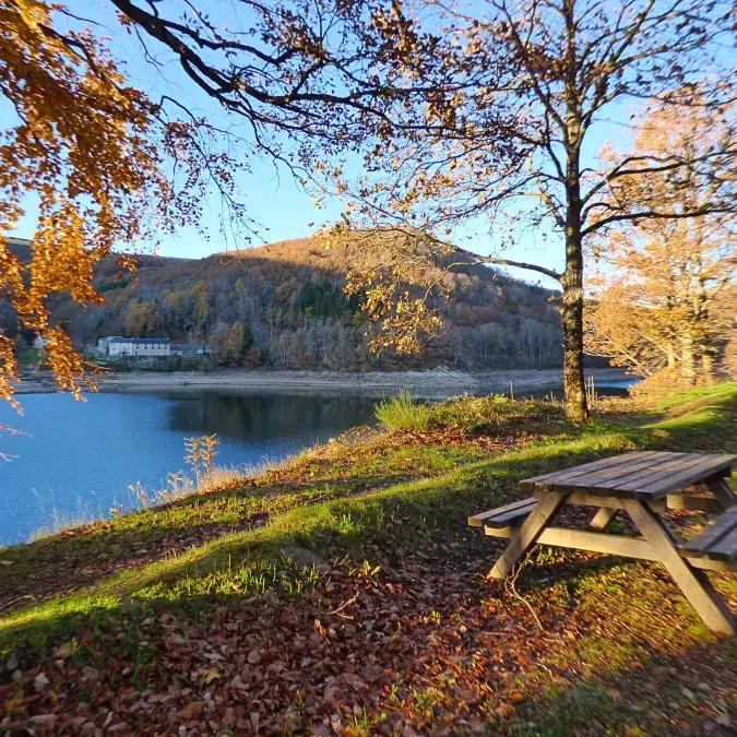 Aire de pique-nique du lac du Laouzas (n°3)_Nages