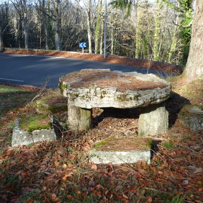 Aire de pique-nique du Bois du Devès_La Salvetat-sur-Agout