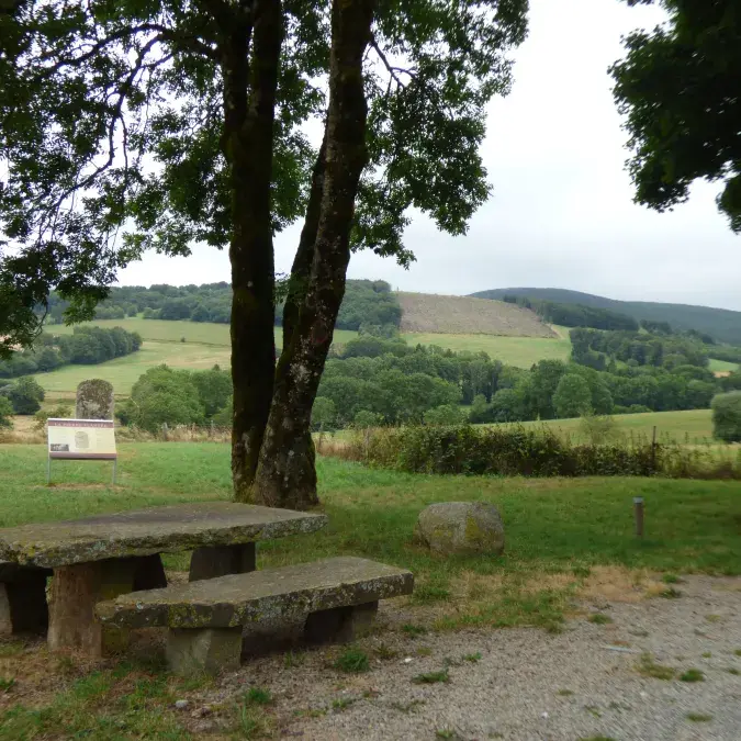 Aire de pique-nique de la Pierre Plantée_Lacaune