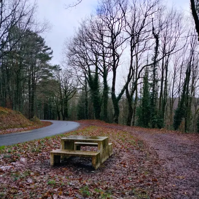 Aire de pique-nique de La Resclause_La Salvetat-sur-Agout