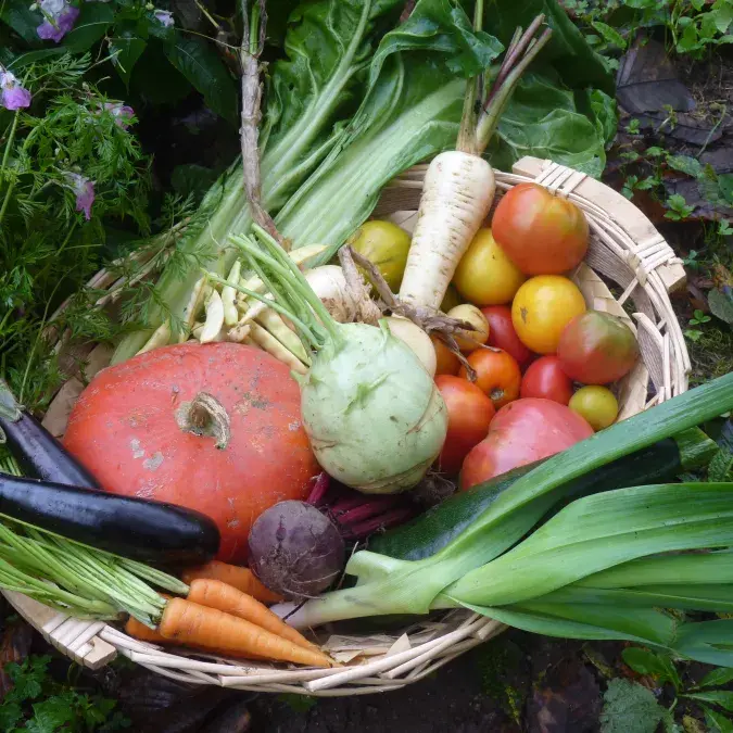 Les Equipages du Jougnier_Fraisse-sur-Agout