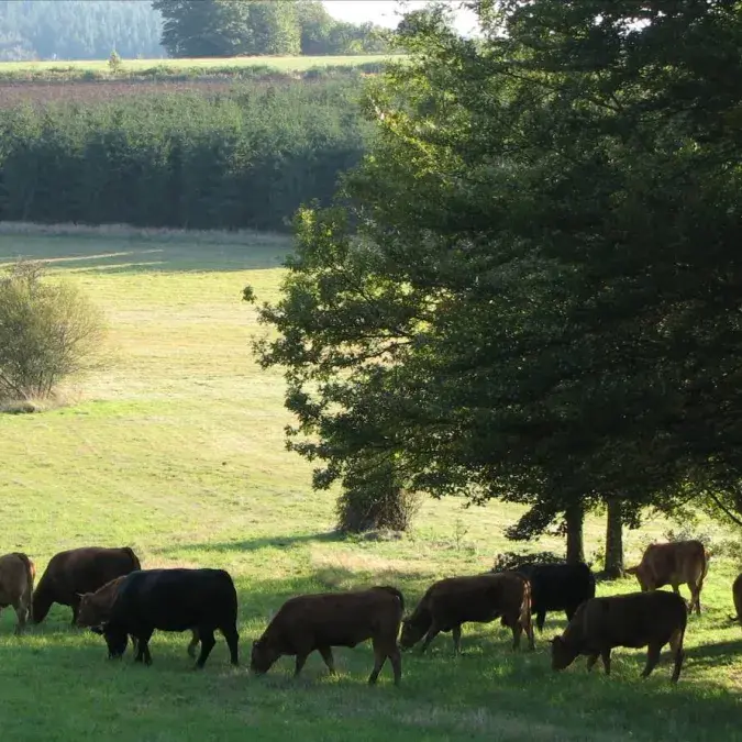 EARL de Sept Faux_Le Soulié