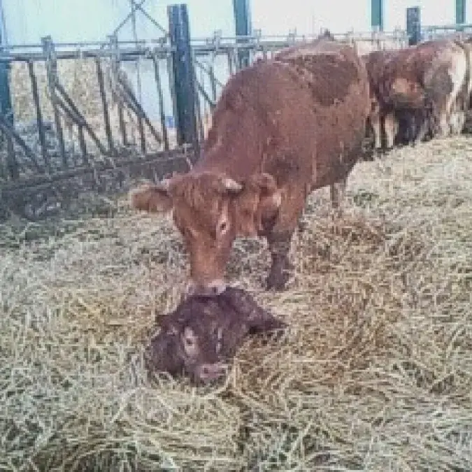 EARL de Sept Faux_Le Soulié