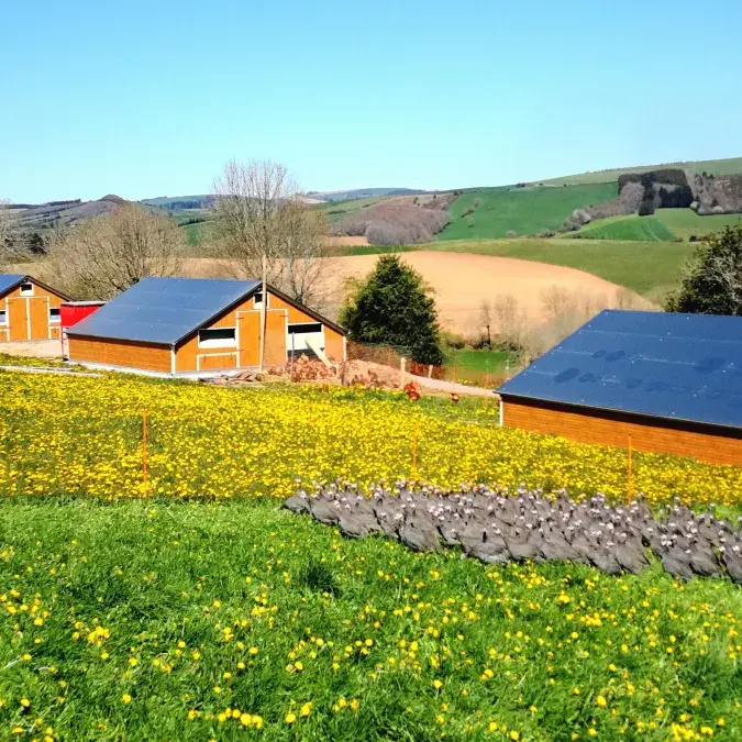 Ferme des Longagnes_Murat-sur-Vèbre