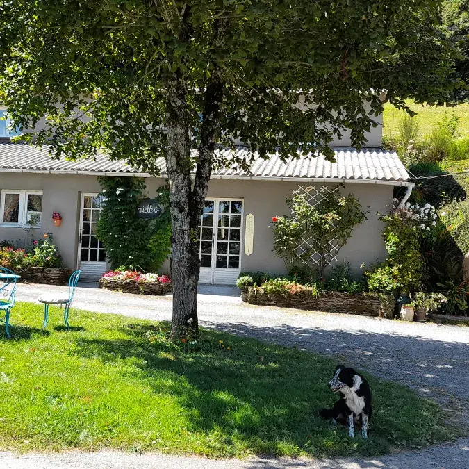 Miellerie des Monts de Lacaune_Senaux