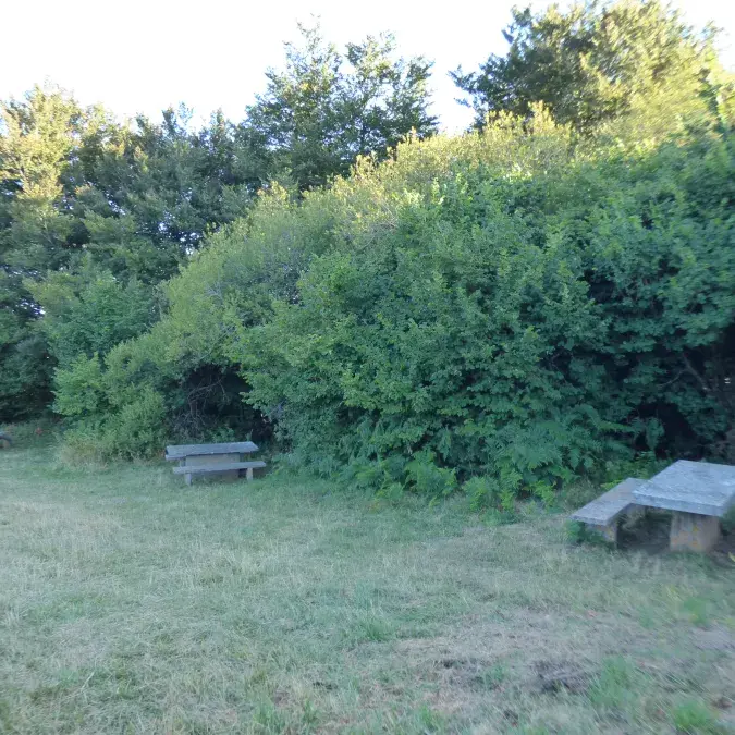 Aire de pique-nique du Montalet_Lacaune
