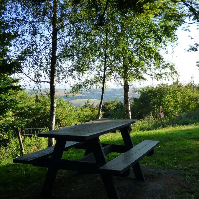 Aire de pique-nique - Panorama route du Montalet_Lacaune