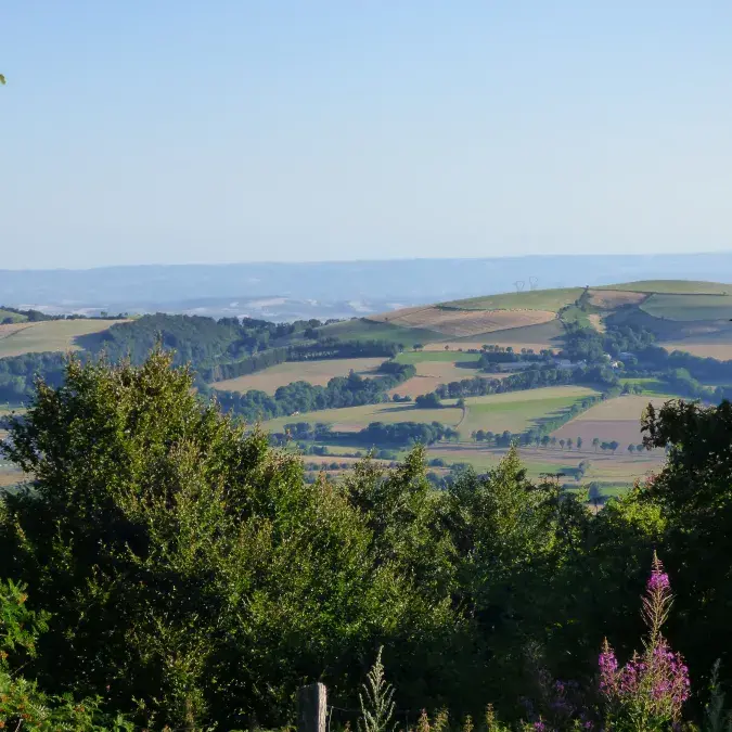 Aire de pique-nique - Panorama route du Montalet_Lacaune